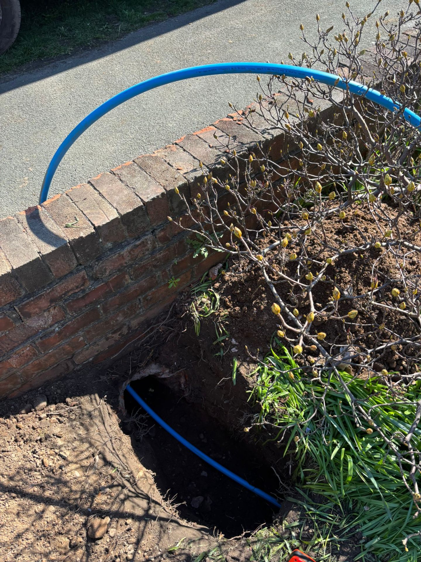 Moling under garden path